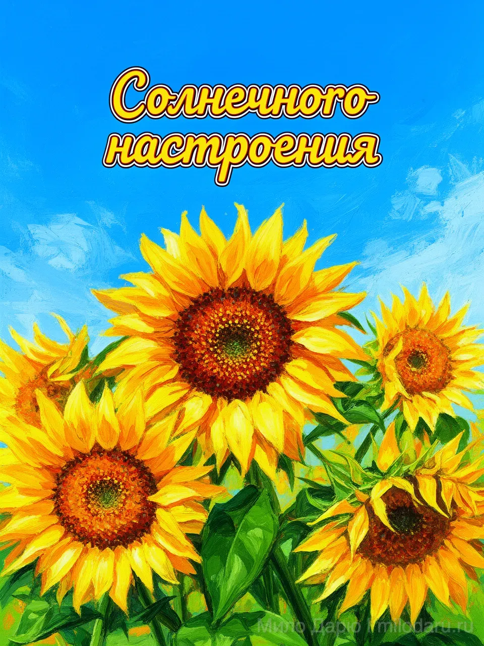 Солнечного настроения!